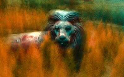 Leo daily horoscope: Today’s insights for December 19, 2025